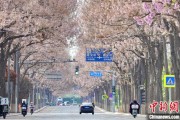 微山共建“花园城市” 北京这场议政会“百花齐放”